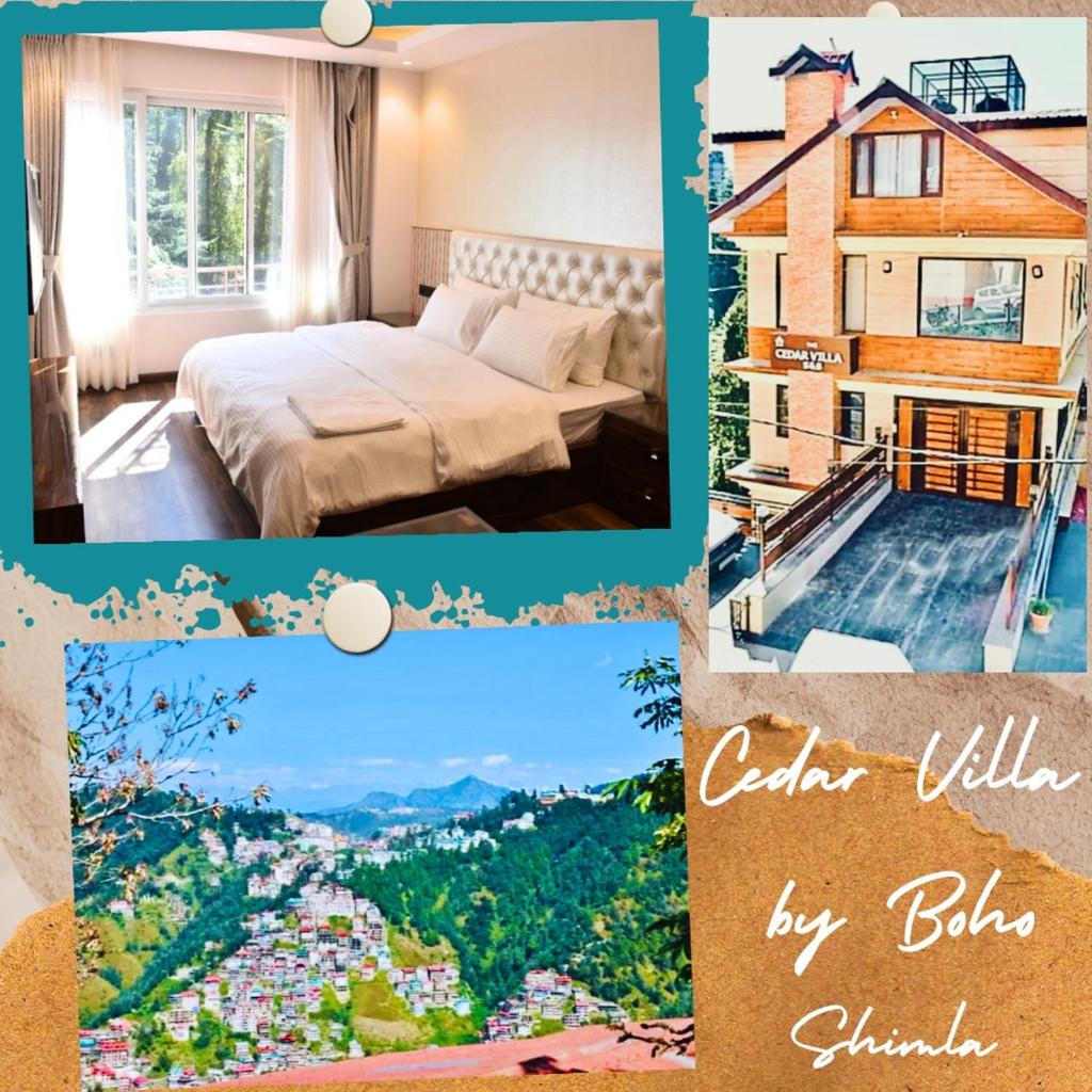 The Cedar Villa Boho