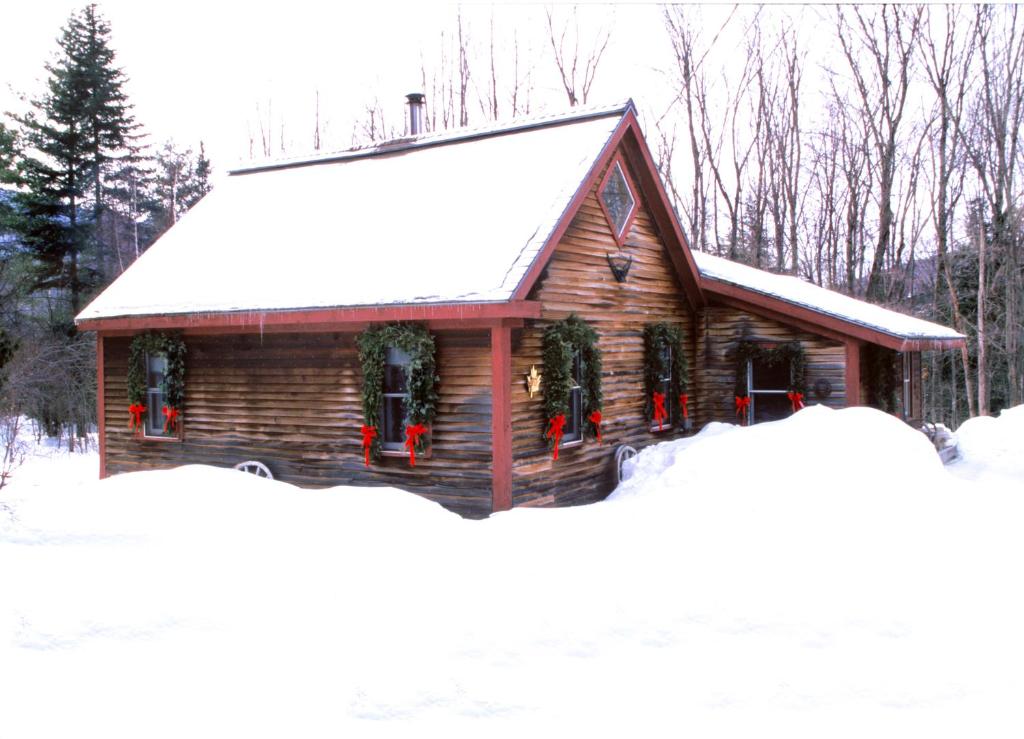 Goldilocks Cabin