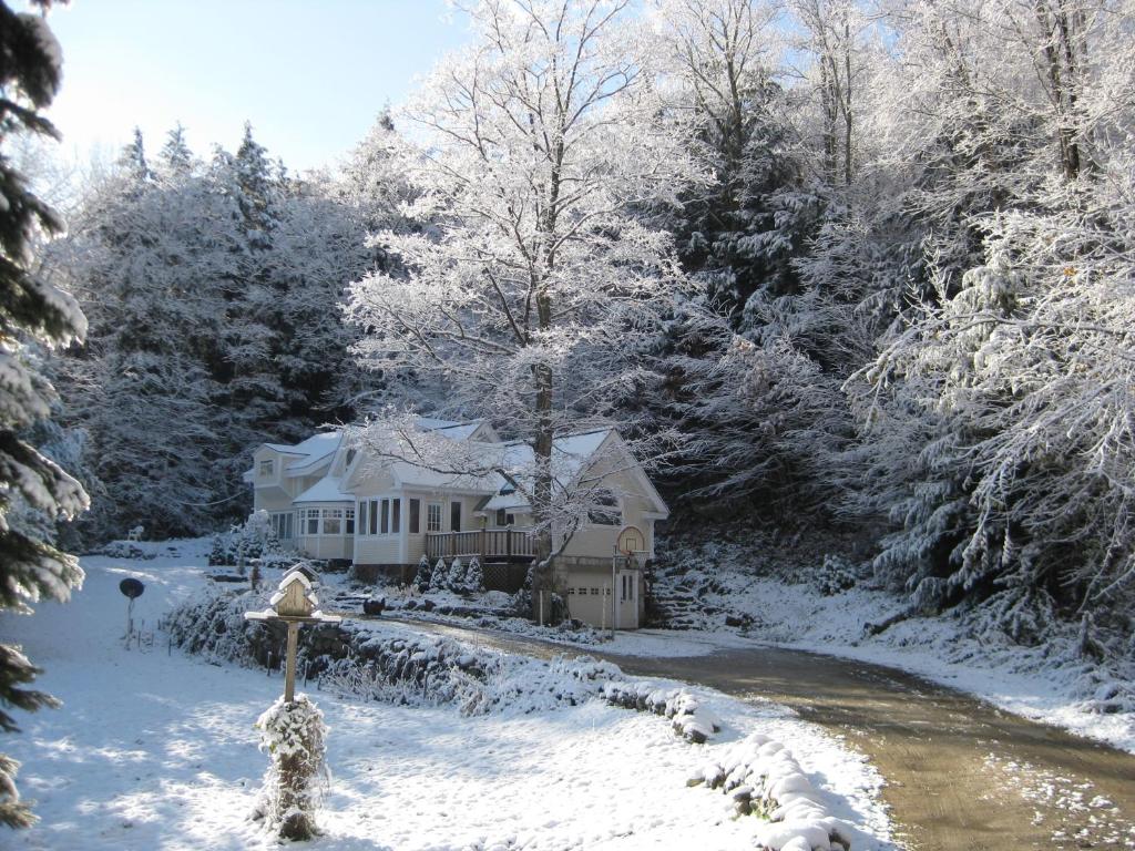 Mountain Valley Retreat (Killington)