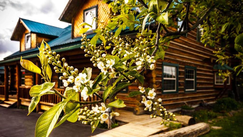 Dodge Peak Lodge (Bonners Ferry)