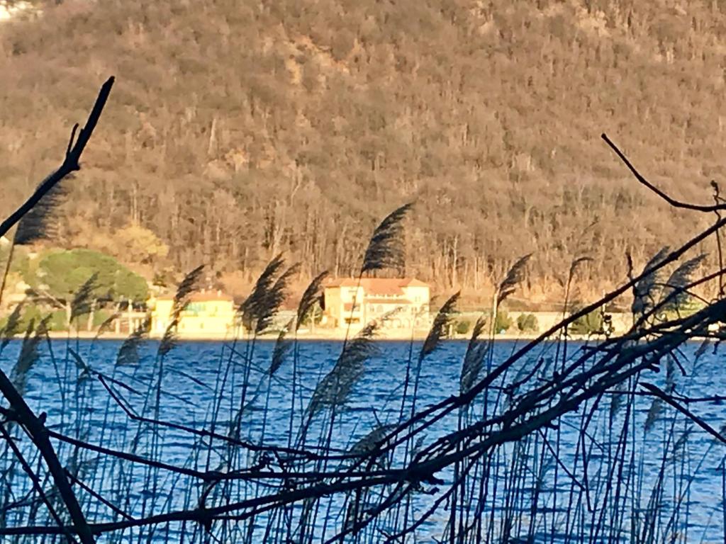 B&B Notte sul Lago (Gozzano)