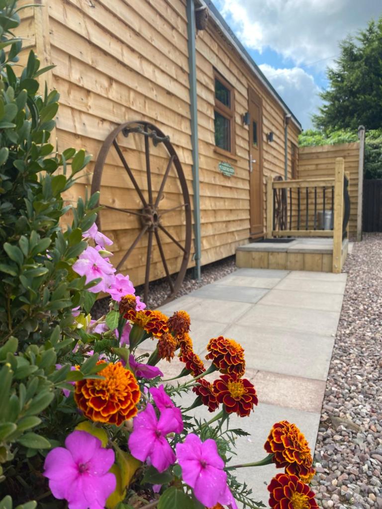 Ye Old Tack Room (Stafford)
