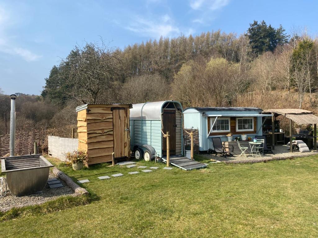 Belan Bluebell Woods Shepherds Hut (Llanidloes)