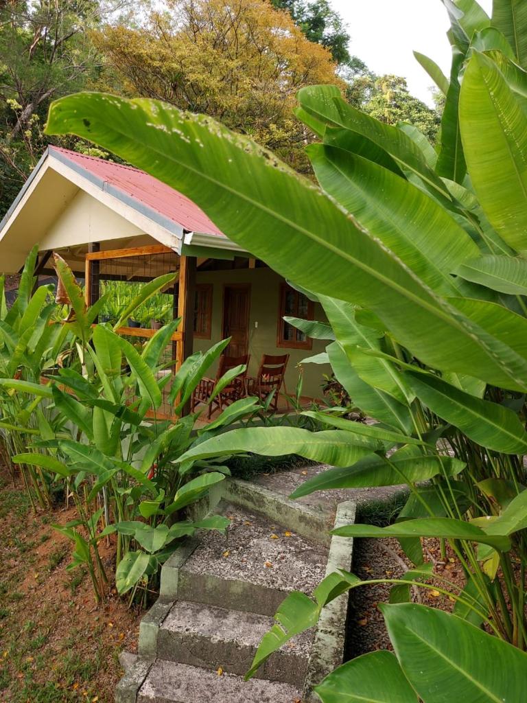 Cabina Rancho la Merced