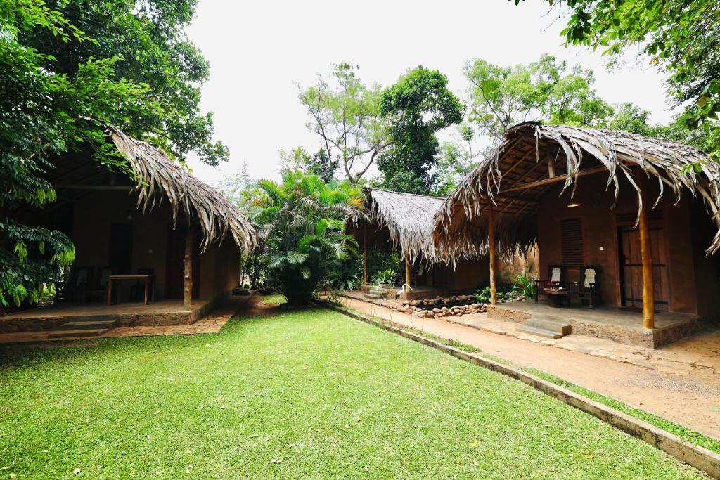 Private Organic House