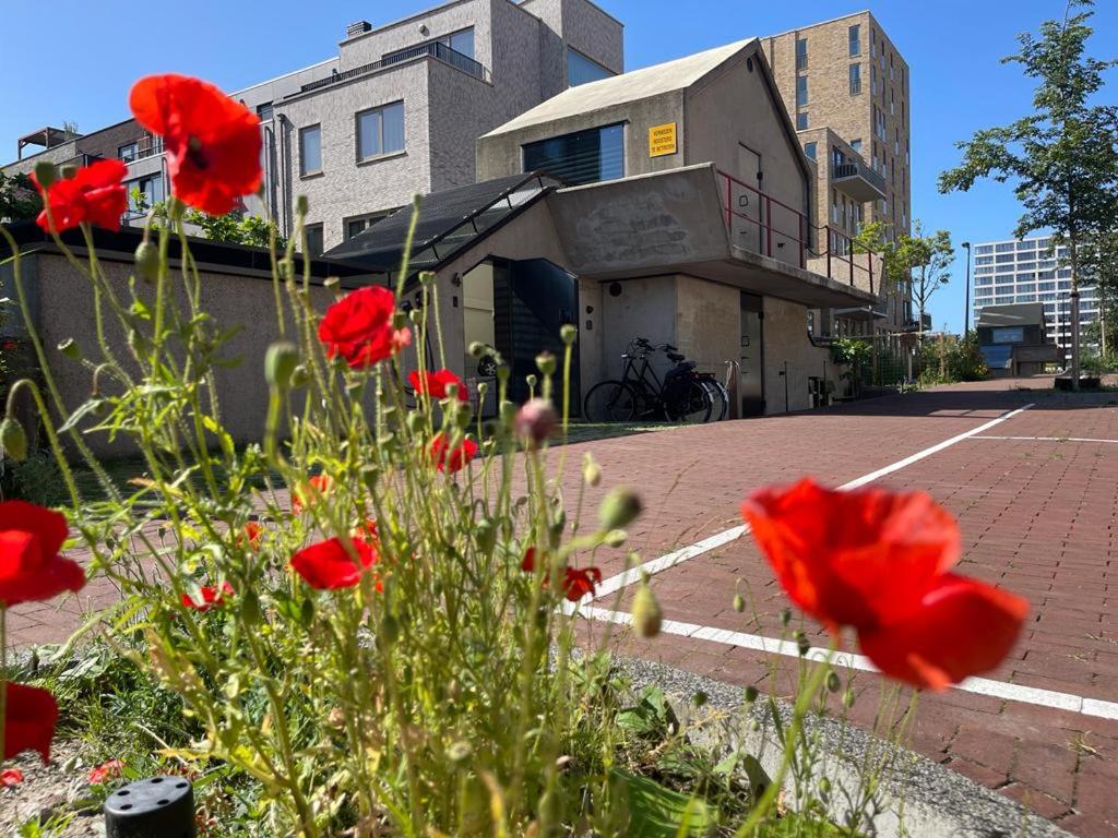 vondice hotel