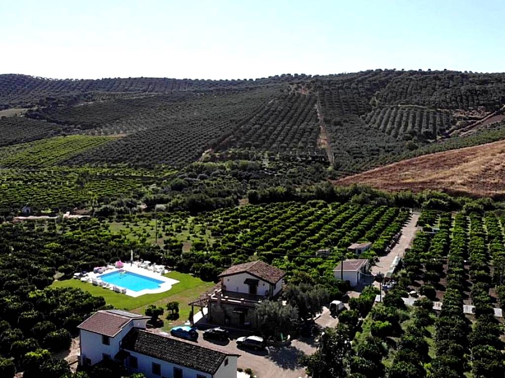 Agriturismo Trappeto Vecchio (San Demetrio Corone)