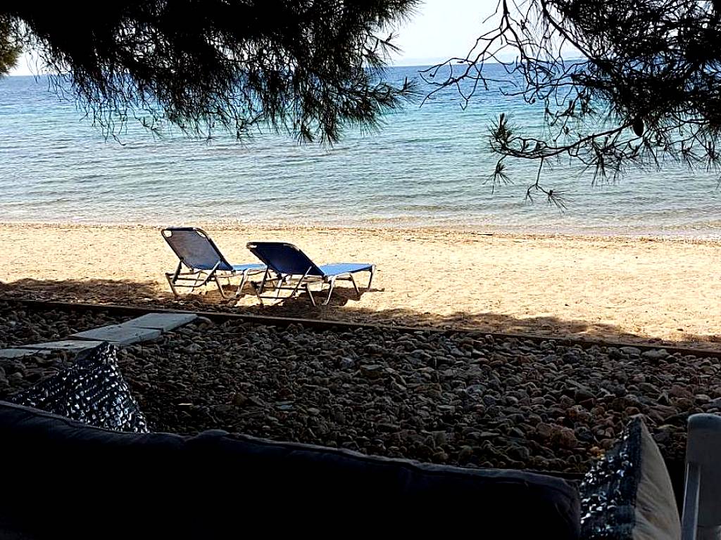Pine&Sea Kastamoniti beach (Nikiti)