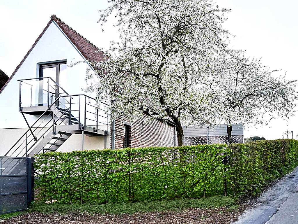 B&B Plattestien (Halle)