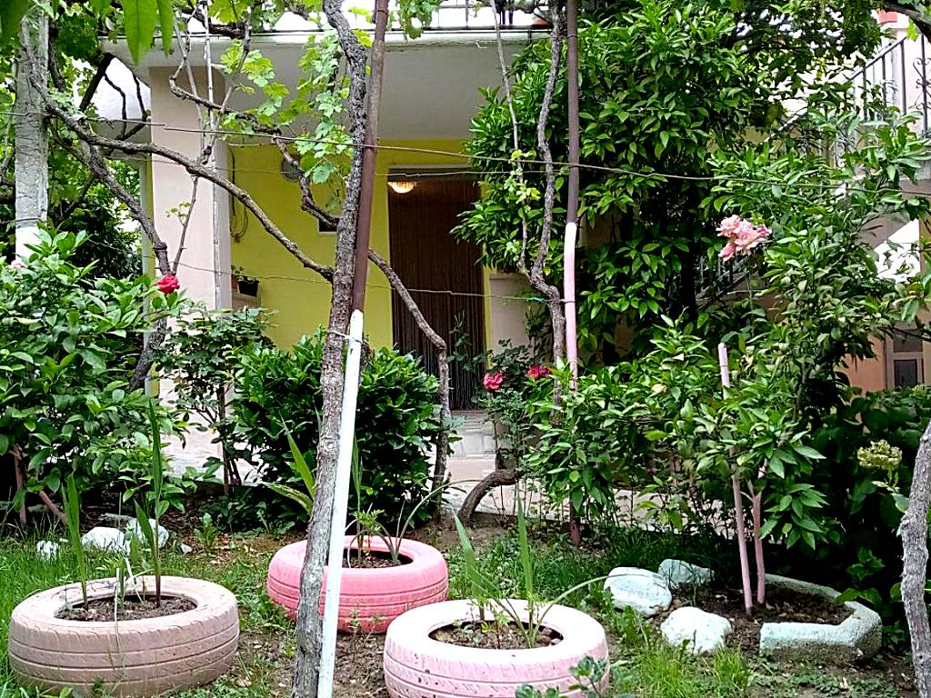 Sonce - Tirana