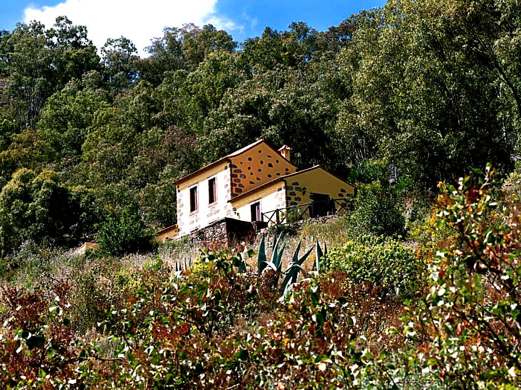 Casa Rural Las Caldereras (Teror) 