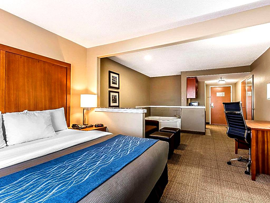 Comfort Inn & Suites Airport-American Way Memphis: King Suite with Spa Bath