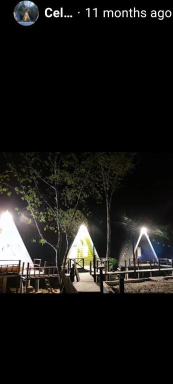 The Mangrove