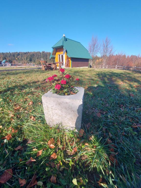 Durmitor Bungalows