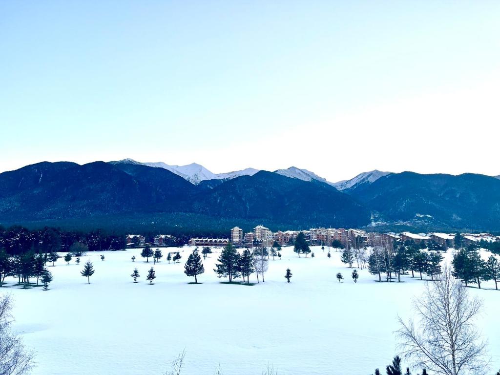 Pirin Bliss Apartment Ski, Spa and Relax at Terra Complex