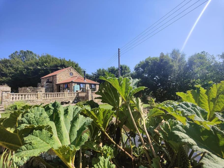 Stunning 2 Bedroom Guest House with Hot Tub