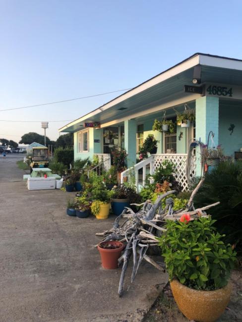 Swell Motel