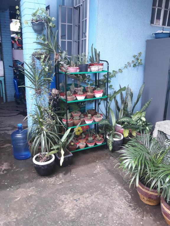 CVBNB GUESTHOUSE