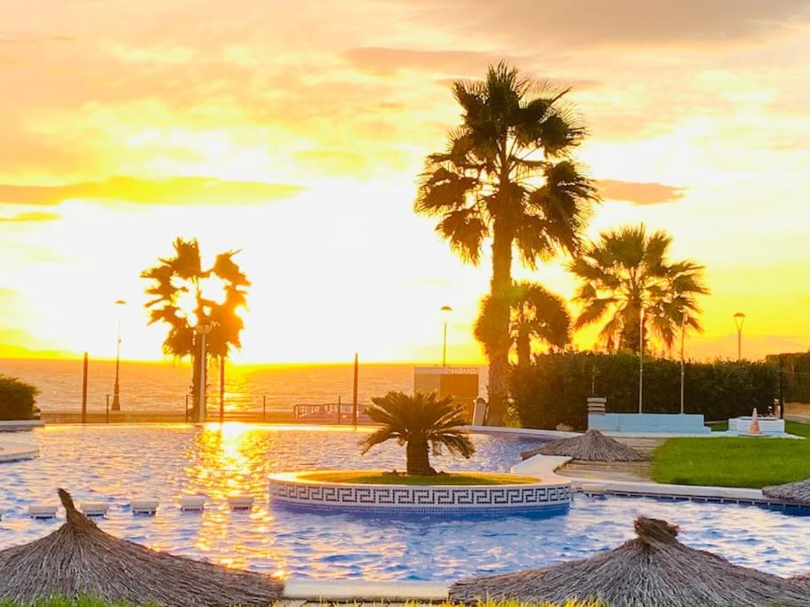 Apartment Jardines Del Mar