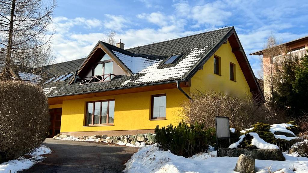 SnežienkaD