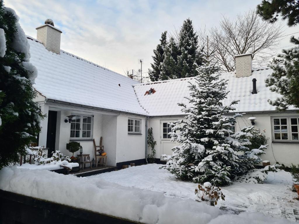 Cosy guest house near beach great for families and couples