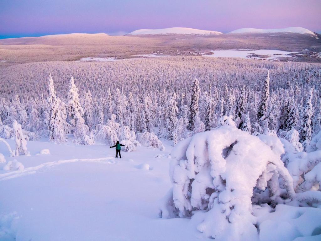 Ylläs Kanerva 108