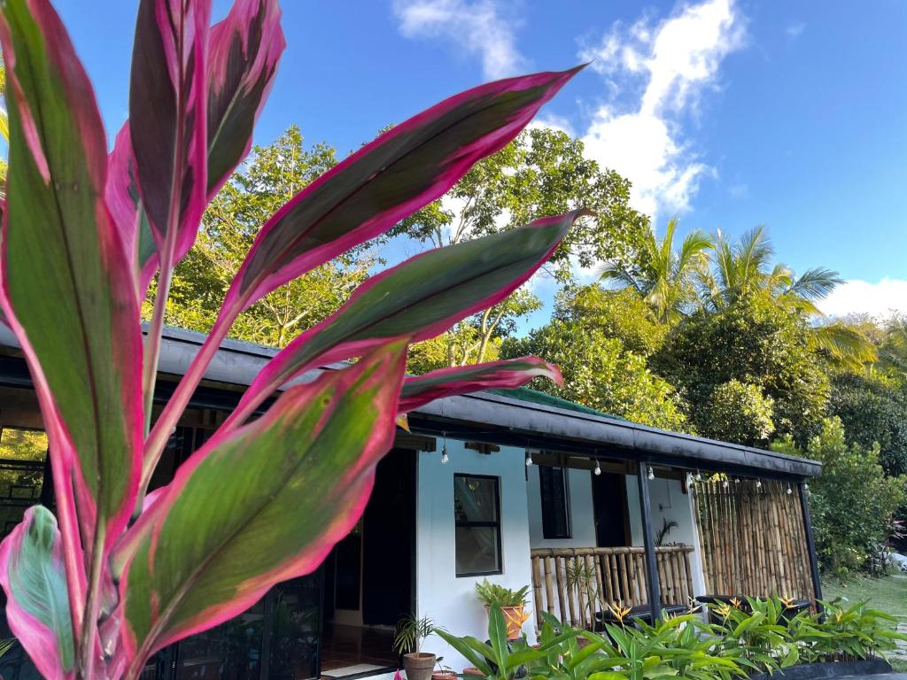 Blackwood Nature Villa with Pool and Trail