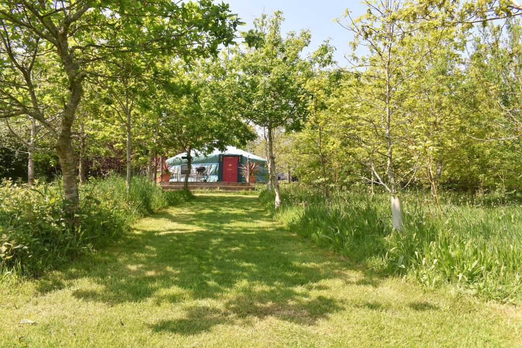 The Yurt in the woods a Glamping experience
