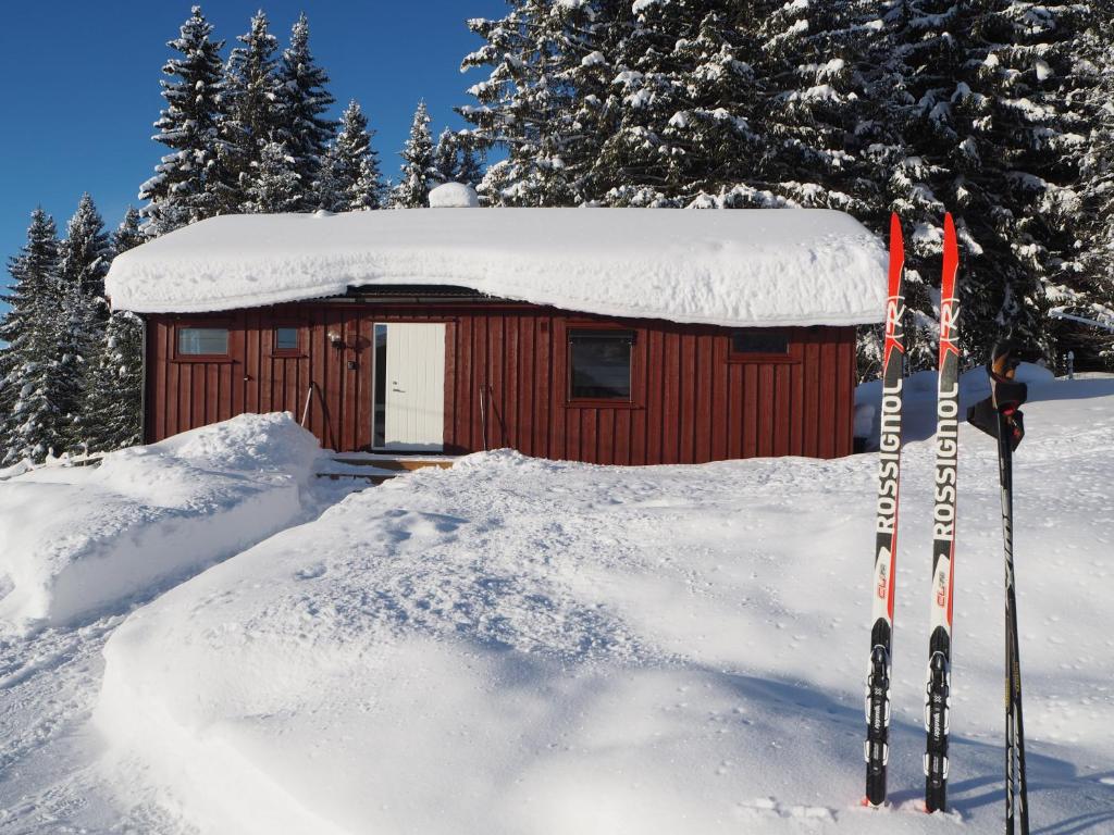 Cabin with great view close to town and ski area