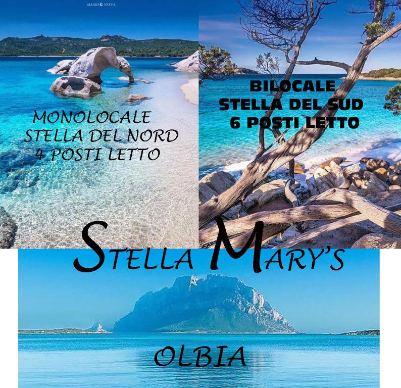 Stella Marys