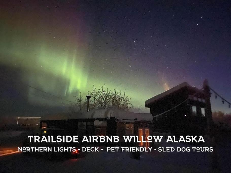 Trailside Alaska - Northern Lights, Pets, Deck, Cafe, Sled Dog Tours